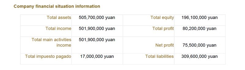 China company search annual report financial statement sample